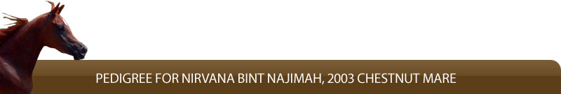 Pedigree for Nirvana Bint Najimah, 2003 chestnut mare