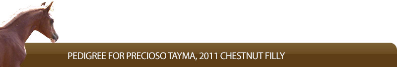Pedigree for Precioso Tayma, 2011 Chestnut Filly