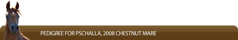 Pedigree for Pschalla, 2008 chestnut mare