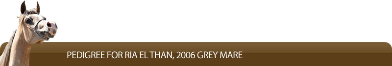 Pedigree for Ria El Than, 2006 grey mare
