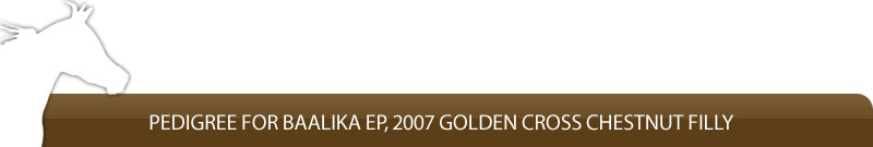 Pedigree for Baalika EP, 2007 Golden Cross Chestnut Filly