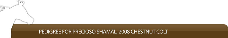 Pedigree for Precioso Shamal, 2008 chestnut colt