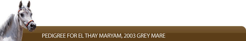 Pedigree for El Thay Maryam, 2003 grey mare