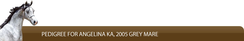 Pedigree for Angelina KA, 2005 grey mare