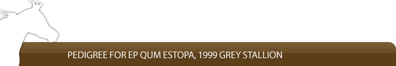 Pedigree for EP Qum Estopa, 1999 grey stallion