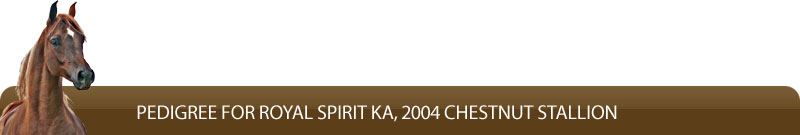 Pedigree for Royal Spirit KA, 2004 chestnut stallion