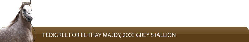 Pedigree for El Thay Majdy, 2003 grey stallion
