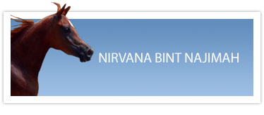Nirvana Bint Najimah