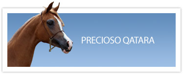 Precioso Qatara