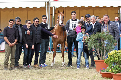 El Precioso Arabians Stud