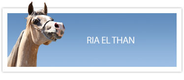 Ria El Than