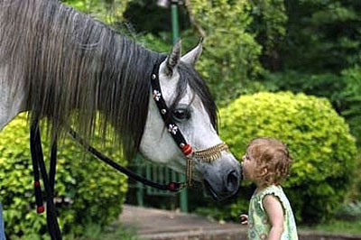 El Precioso Arabians Stud